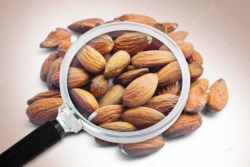 Quality control about almonds - HACCP (Hazard Analyses and Critical Control Points) concept with almonds seen through a magnifying glass