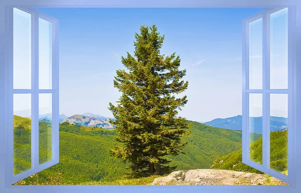 Mountain Ladscape Lone Fir Tree Seen Window Escape City Live — Stock Photo, Image