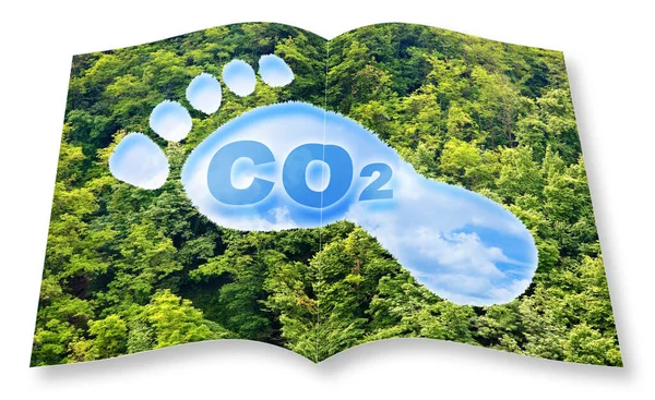 Conceito Pegada Carbono Com Texto Co2 Forma Pegada Contra Floresta — Fotografia de Stock