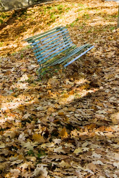 Banc Fer Isolé Dans Tapis Feuilles Mortes — Photo