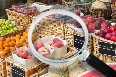 HACCP (Tehlikeli Analiz ve Kritik Kontrol Noktaları) - Taze meyve hakkında gıda endüstrisi konseptinde Gıda Güvenliği ve Kalite Kontrolü