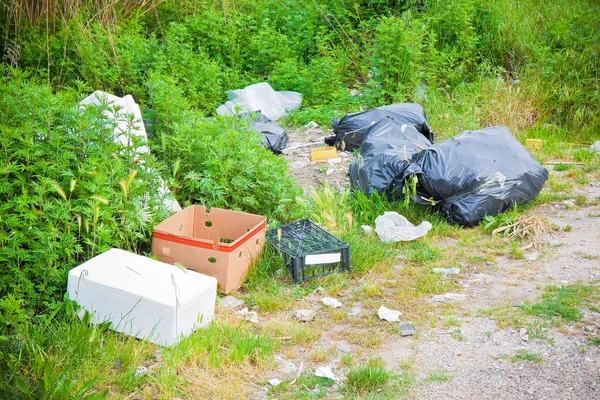 Nelegálními Dumpingovými Přírodě Odpadkové Pytle Krabice Vlevo Přírodě — Stock fotografie
