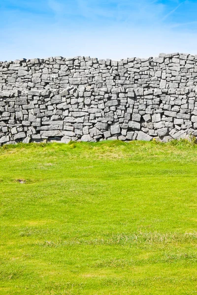 Typisk Irländsk Mur För Att Dela Betesmarker Irland — Stockfoto