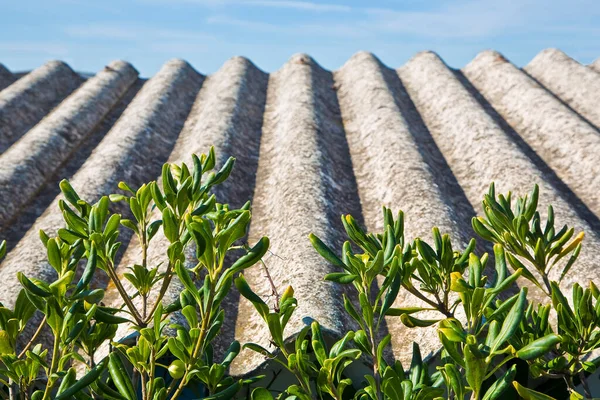 Tetto Pericoloso Invecchiato Realizzato Con Pannelli Ondulati Prefabbricati Amianto Uno — Foto Stock