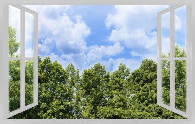 Halka açık bir parkın yeşil bir çayırında, ağaçlar arka bahçede ve gökyüzü bir pencereden görülebiliyor - konsept resim.