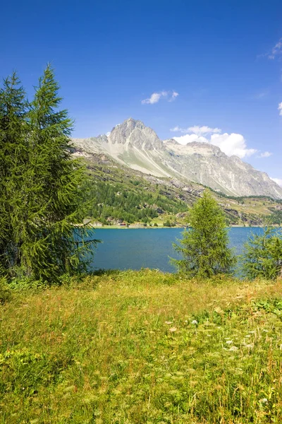 Switzerland Landscape Sils Llake Upper Engadine Valley — Stock Photo, Image