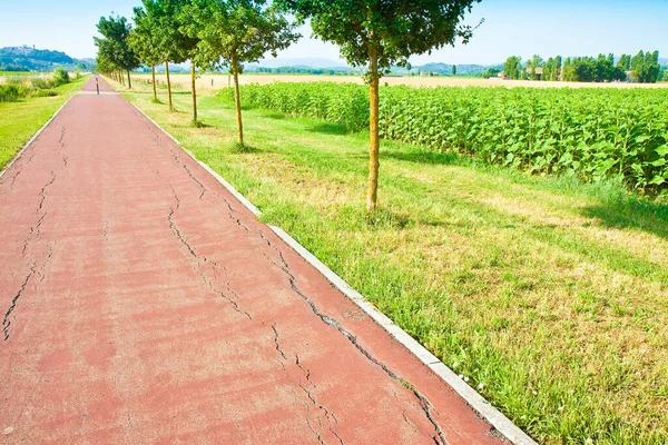 Cycle Path Tuscany Countryside Italy Pisa Peccioli — Stock Photo, Image