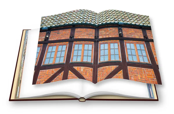 Typische Huizen Houten Structuur Rode Bakstenen Europa Zweden Malmö Render — Stockfoto
