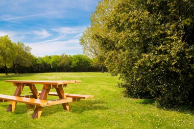 Wooden picnic table on a green meadow of a public park with trees and recreation areas for leisure activities