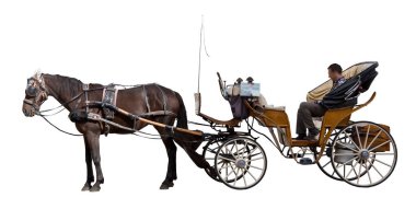 Side view with an old wooden carriage pulled by a stationary brown horse - image isolated on white background for easy selection - people are not recognizable.