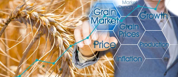 Increase Cost Wheat Concept Business Manager Rising Graph — Stockfoto