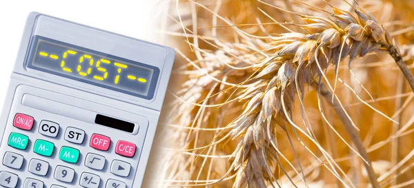 Increase in the cost of wheat - concept with calculator an text written on it