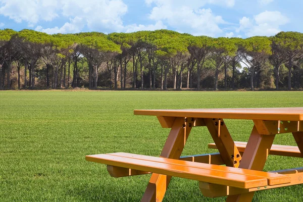 公园绿地上的木制新野餐桌 背景是树木 天空是多云的 有复制空间的图像 — 图库照片