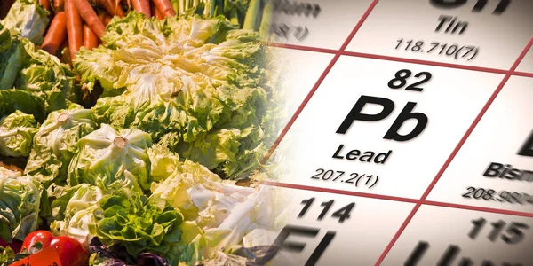 Lead pollution in vegetables - concept with the Mendeleev periodic table and fresh vegetables - HACCP (Hazard Analyses and Critical Control Points) Food Safety and Quality Control in food industry