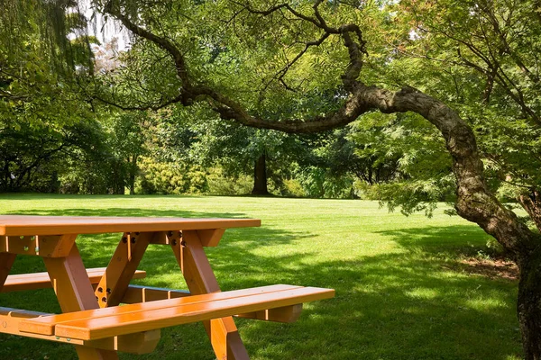公园绿色草地上的新的空松木野餐桌 — 图库照片