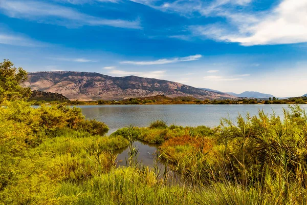 Butrint湖盐湖湖 美丽的夏季景色来自Butrint国家公园 阿尔巴尼亚著名的联合国教科文组织世界遗产 阿尔巴尼亚南部距离Sarande不远的Ksamil考古遗址 — 图库照片