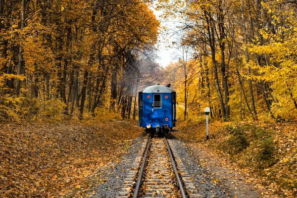 Schmalspurige Eingleisige Eisenbahn Und Blauer Oldtimerzug Herbstwald Altweibersommer Gelbes Laub — Stockfoto