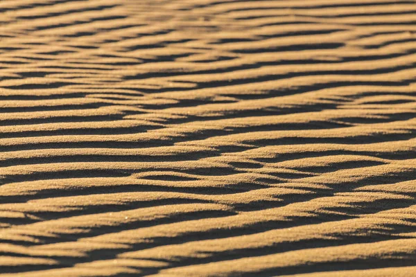 Homokhullámok Közelsége Sivatagban Vagy Parton Napsütéses Napokon Homokos Sivatagi Textúra — Stock Fotó