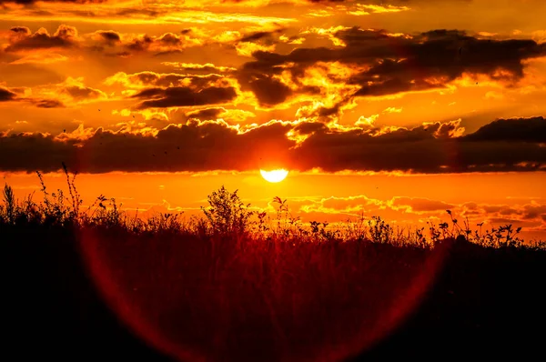 Red sunset of the hot sun on the background of the silhouette of a tree and dry grass. Red Sky. Global warming, climate change, extreme heat waves. Hot evening. Danger of fire.