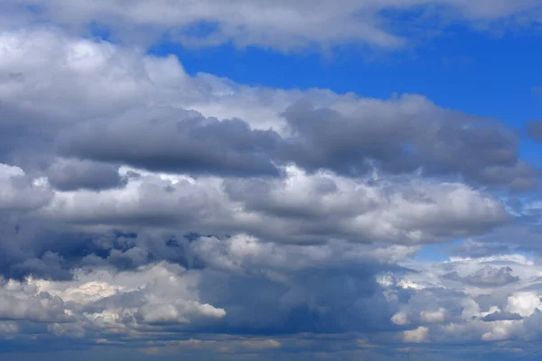 Cumuluswolken Über Den Wald — Stockfoto