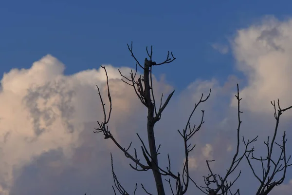 Himmel Och Moln Solnedgången — Stockfoto