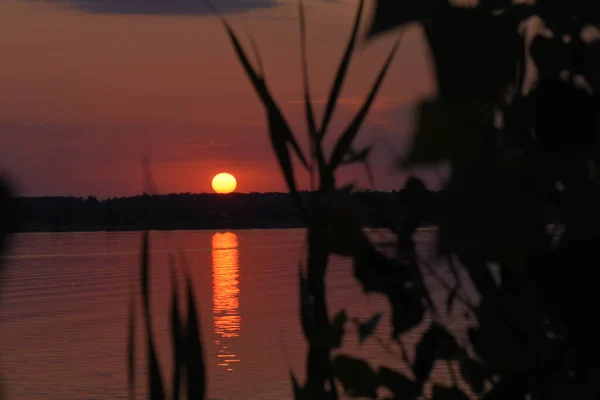 Sonnenuntergang Auf Dem See — Stockfoto