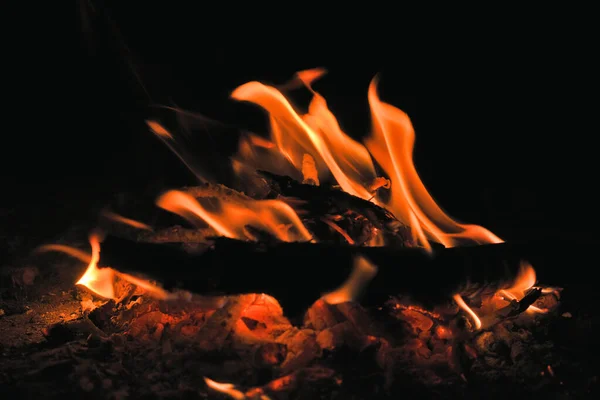 Api Unggun Dalam Gelap Stok Foto Bebas Royalti