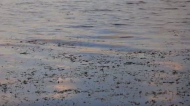 Gölde gün batımı