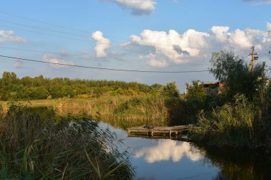 Orman üzerinde Cumulus bulutları