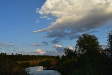 Orman üzerinde Cumulus bulutları
