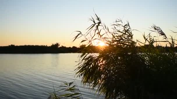 湖の夕日 — ストック動画
