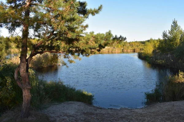 Lago Floresta — Fotografia de Stock