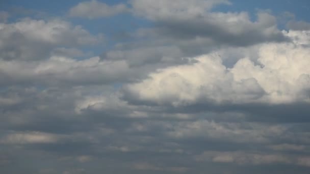 都市上の積雲の雲 — ストック動画