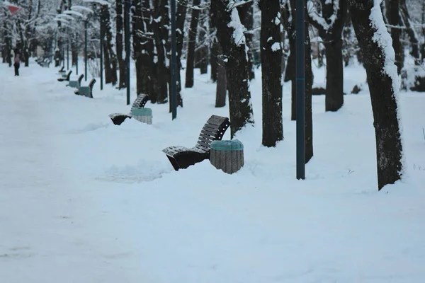 Snowy Weather Park — стоковое фото