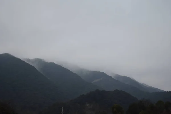 Montagne Forêt Par Temps Nuageux Journée Hiver — Photo