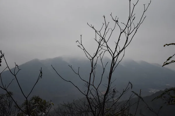 Brouillard Dans Les Montagnes — Photo