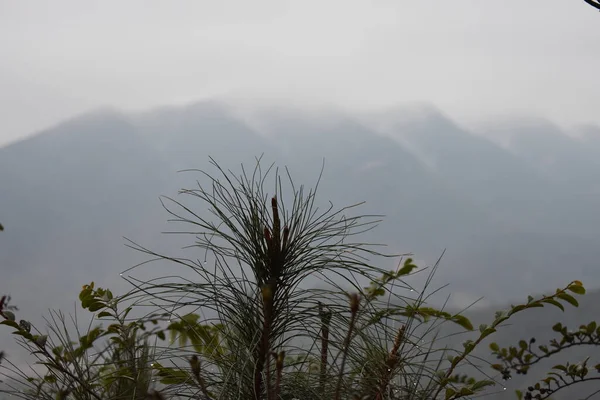 Nebel Den Bergen — Stockfoto