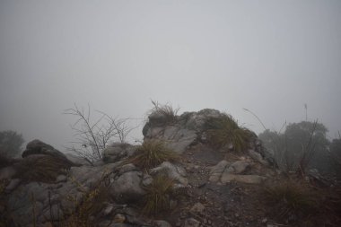 Dağlarda sis.