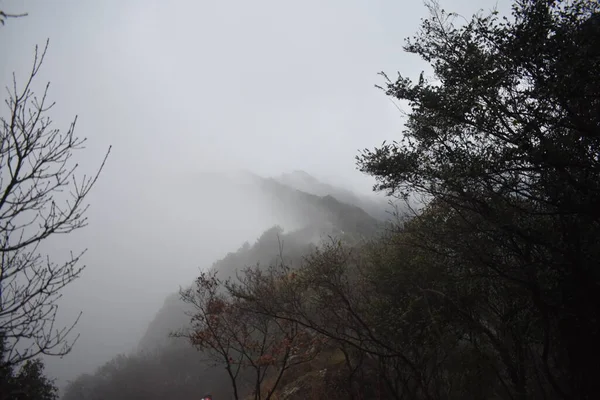 Brouillard Dans Les Montagnes — Photo