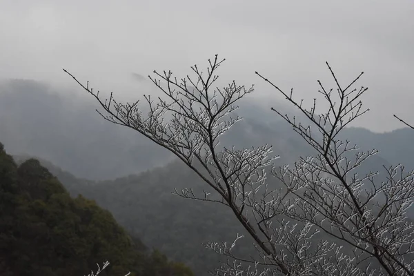 Brouillard Dans Les Montagnes — Photo