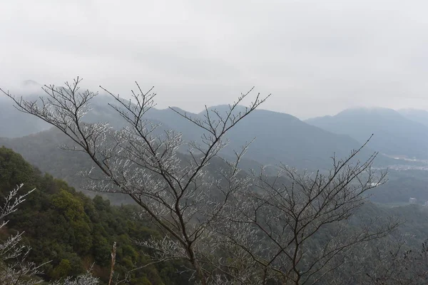 Nevoeiro Nas Montanhas — Fotografia de Stock