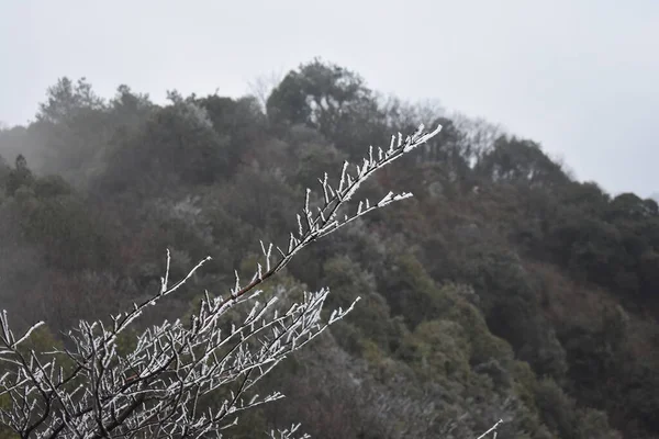 Nebel Den Bergen — Stockfoto