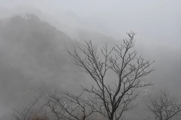 Nebel Den Bergen — Stockfoto