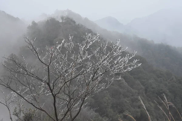 Brouillard Dans Les Montagnes — Photo