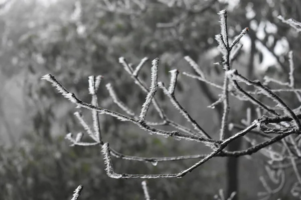 Nebel Den Bergen — Stockfoto