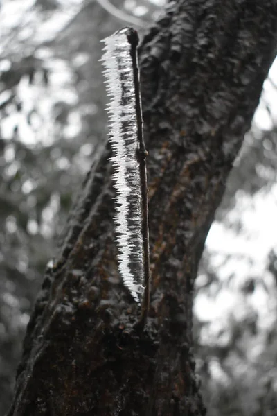 Nebbia Montagna — Foto Stock