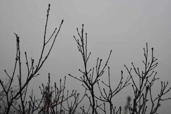 Köd Hegyekben — Stock Fotó