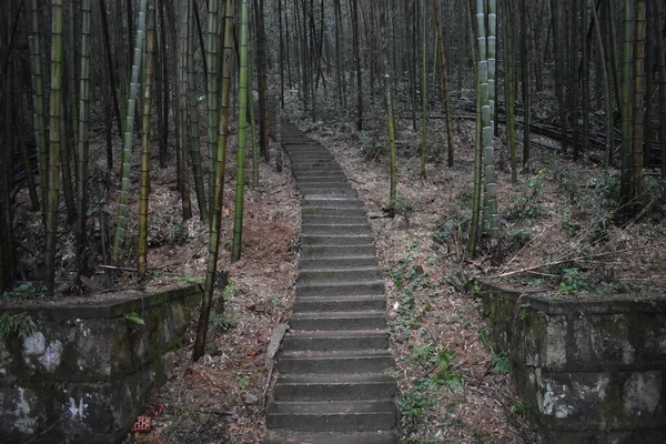 Dimma Bergen — Stockfoto