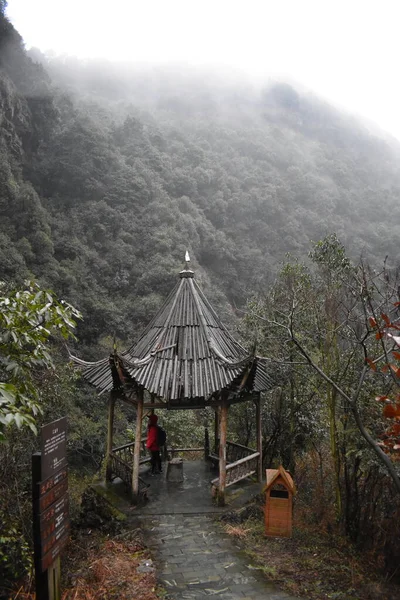 高山上的雾 — 图库照片