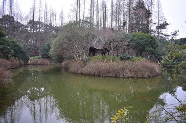 Baharda Şangay Halk Parkı